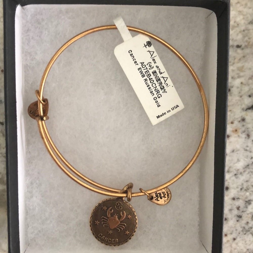 NWT Alex & Ani EWB Russian Gold Zodiac Bracelet